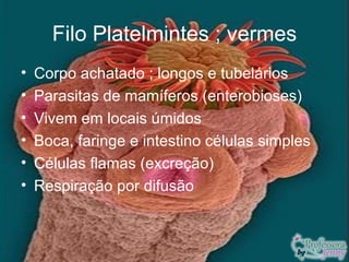 Filo Platelmintes ; vermes
•   Corpo achatado ; longos e tubelários
•   Parasitas de mamíferos (enterobioses)
•   Vivem em locais úmidos
•   Boca, faringe e intestino células simples
•   Células flamas (excreção)
•   Respiração por difusão
 