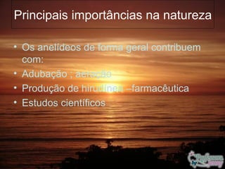 Principais importâncias na natureza

• Os anelídeos de forma geral contribuem
  com:
• Adubação ; aeração
• Produção de hirudínea –farmacêutica
• Estudos científicos
 
