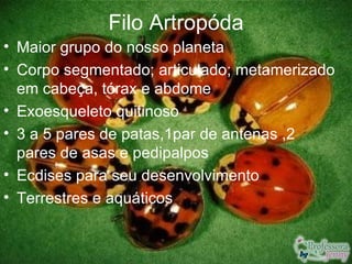 Filo Artropóda
• Maior grupo do nosso planeta
• Corpo segmentado; articulado; metamerizado
  em cabeça, tórax e abdome
• Exoesqueleto quitinoso
• 3 a 5 pares de patas,1par de antenas ,2
  pares de asas e pedipalpos
• Ecdises para seu desenvolvimento
• Terrestres e aquáticos
 