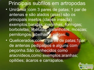 Principais subfilos em artropodas
• Unirâmia :com 3 pares de patas; 1 par de
  antenas e são alados (asas) são os
  principais insetos (classe insecta)
  exemplos:baratas; joaninhas, formigas;
  borboletas; libélulas; gafanhotos; moscas;
  pernilongos; abelhas e pulgas.
• Quelicerados;com 3 pares de patas;1par
  de antenas pedipalpos e alguns com
  peçonha.São conhecidos como
  aracnídeos,como exemplos:aranhas;
  opiliões; ácaros e carrapatos.
 