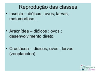 Reprodução das classes
• Insecta – dióicos ; ovos; larvas;
  metamorfose .

• Aracnídea – dióicos ; ovos ;
  desenvolvimento direto.

• Crustácea – dióicos; ovos ; larvas
  (zooplancton)
 