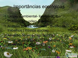 Importâncias ecológicas
• Limpeza ambiental- lixeiros do mar
• Polinização ; pólen (insetos)
• Animais sociais; coloniais ; divisão de
  trabalhos ( insetos alados)
• Aeração da terra (tatu bolinha)
• Controle de pragas em ambientes
  terrestres ( aracnídeos)
 