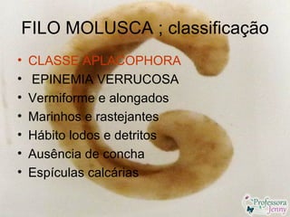 FILO MOLUSCA ; classificação
•   CLASSE APLACOPHORA
•   EPINEMIA VERRUCOSA
•   Vermiforme e alongados
•   Marinhos e rastejantes
•   Hábito lodos e detritos
•   Ausência de concha
•   Espículas calcárias
 