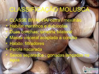 CLASSIFICAÇÃO MOLUSCA
•   CLASSE BIVALVIA/ ostra / mexilhão
•   Habitat marinhos e dulcícolas
•   Duas conchas; simetria bilateral
•   Massa visceral acoplada a concha
•   Habito; filtradores
•   Perola nacarada
•   Sexos separados ; gonadas lançadas na
    água
 