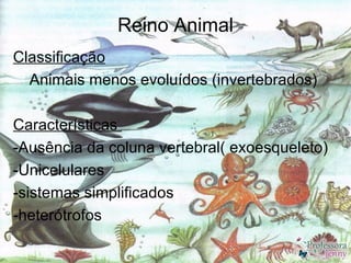 Reino Animal
Classificação
  Animais menos evoluídos (invertebrados)

Características
-Ausência da coluna vertebral( exoesqueleto)
-Unicelulares
-sistemas simplificados
-heterótrofos
 
