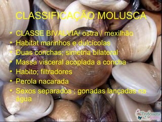 CLASSIFICAÇÃO MOLUSCA
•   CLASSE BIVALVIA/ ostra / mexilhão
•   Habitat marinhos e dulcícolas
•   Duas conchas; simetria b...
