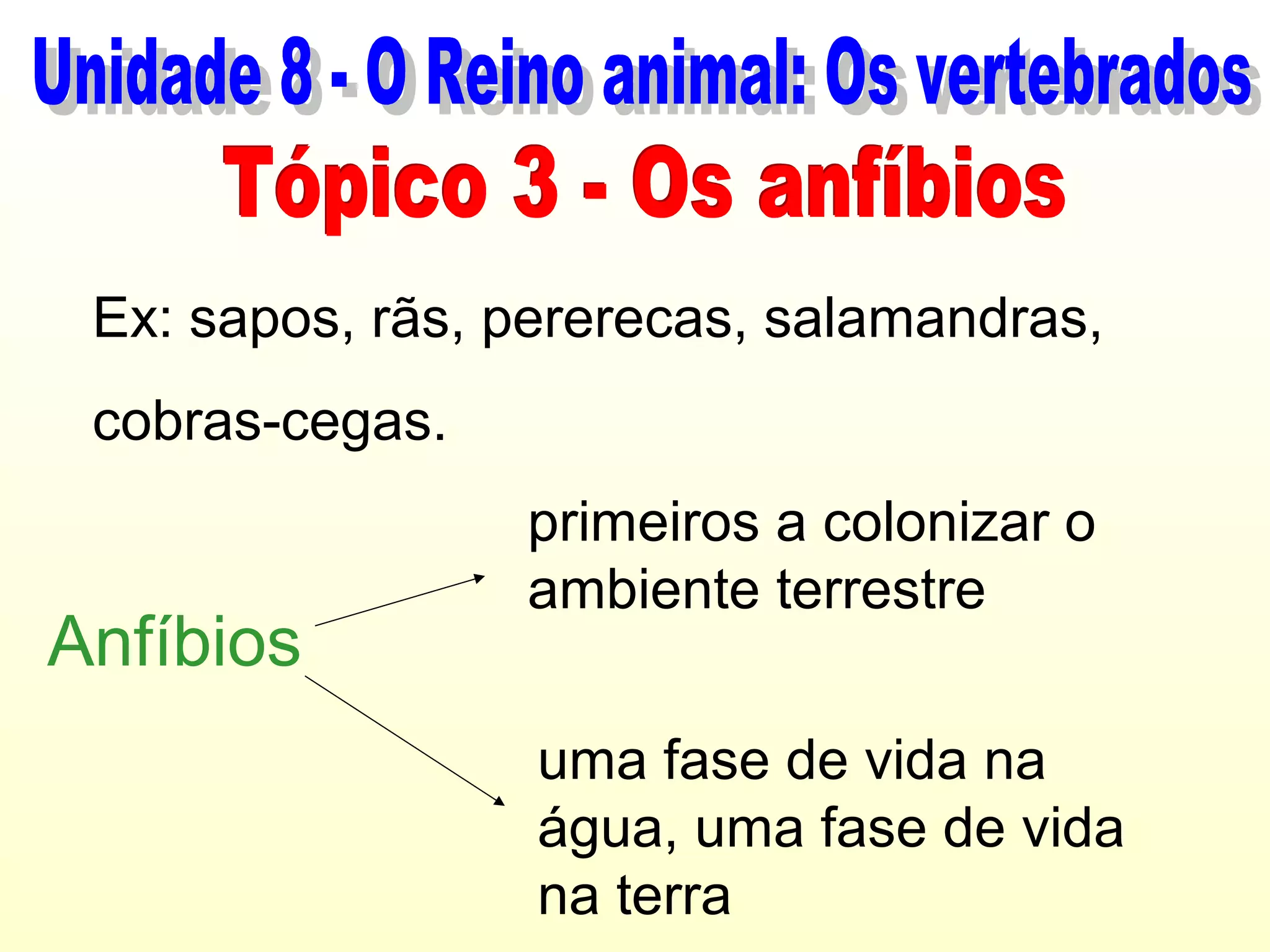 Ex: sapos, rãs, pererecas, salamandras,
 cobras-cegas.
                 primeiros a colonizar o
                 ambiente terrestre
Anfíbios
                  uma fase de vida na
                  água, uma fase de vida
                  na terra
 