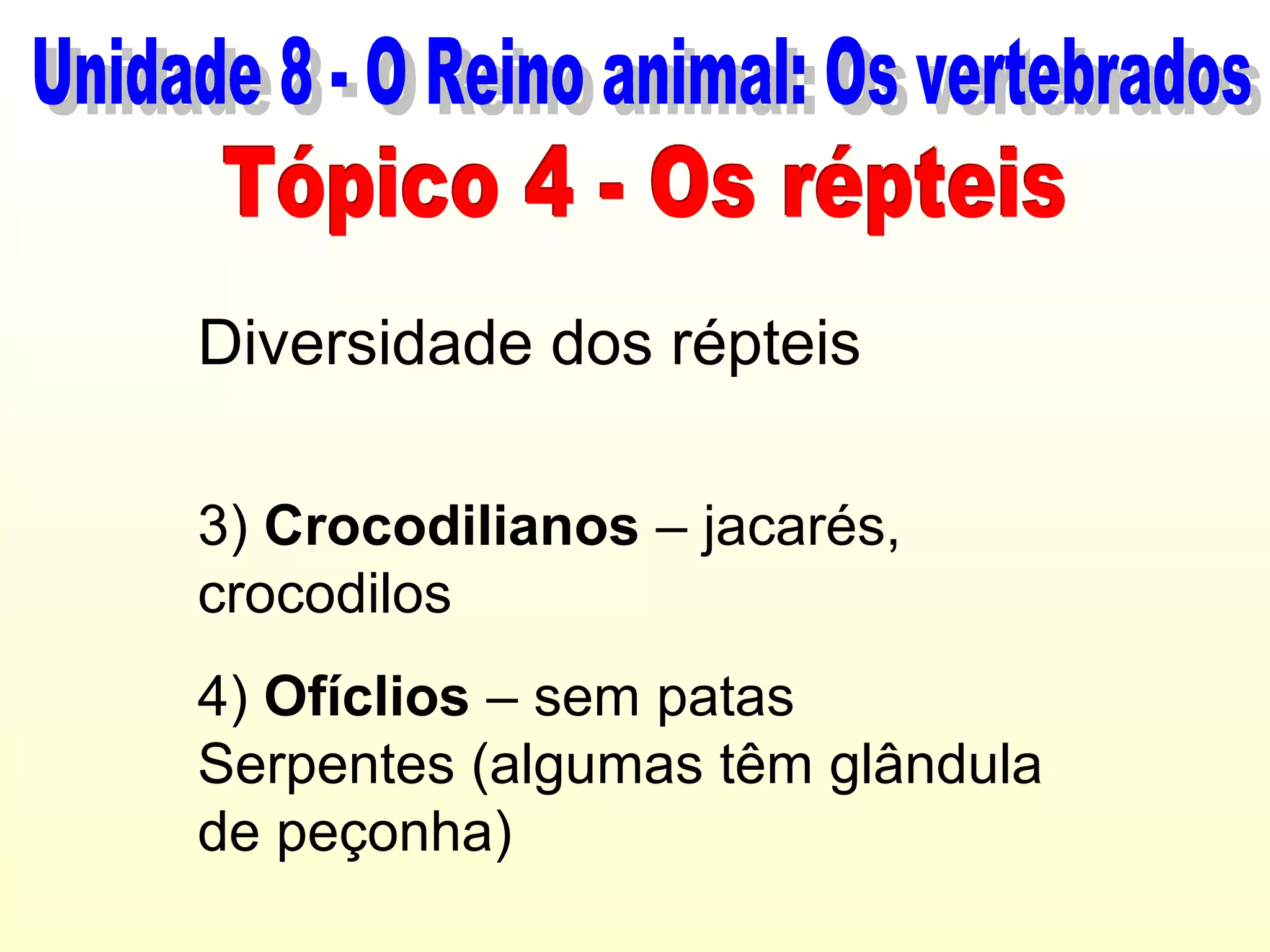 Diversidade dos répteis

3) Crocodilianos – jacarés,
crocodilos
4) Ofíclios – sem patas
Serpentes (algumas têm glândula
de peçonha)
 