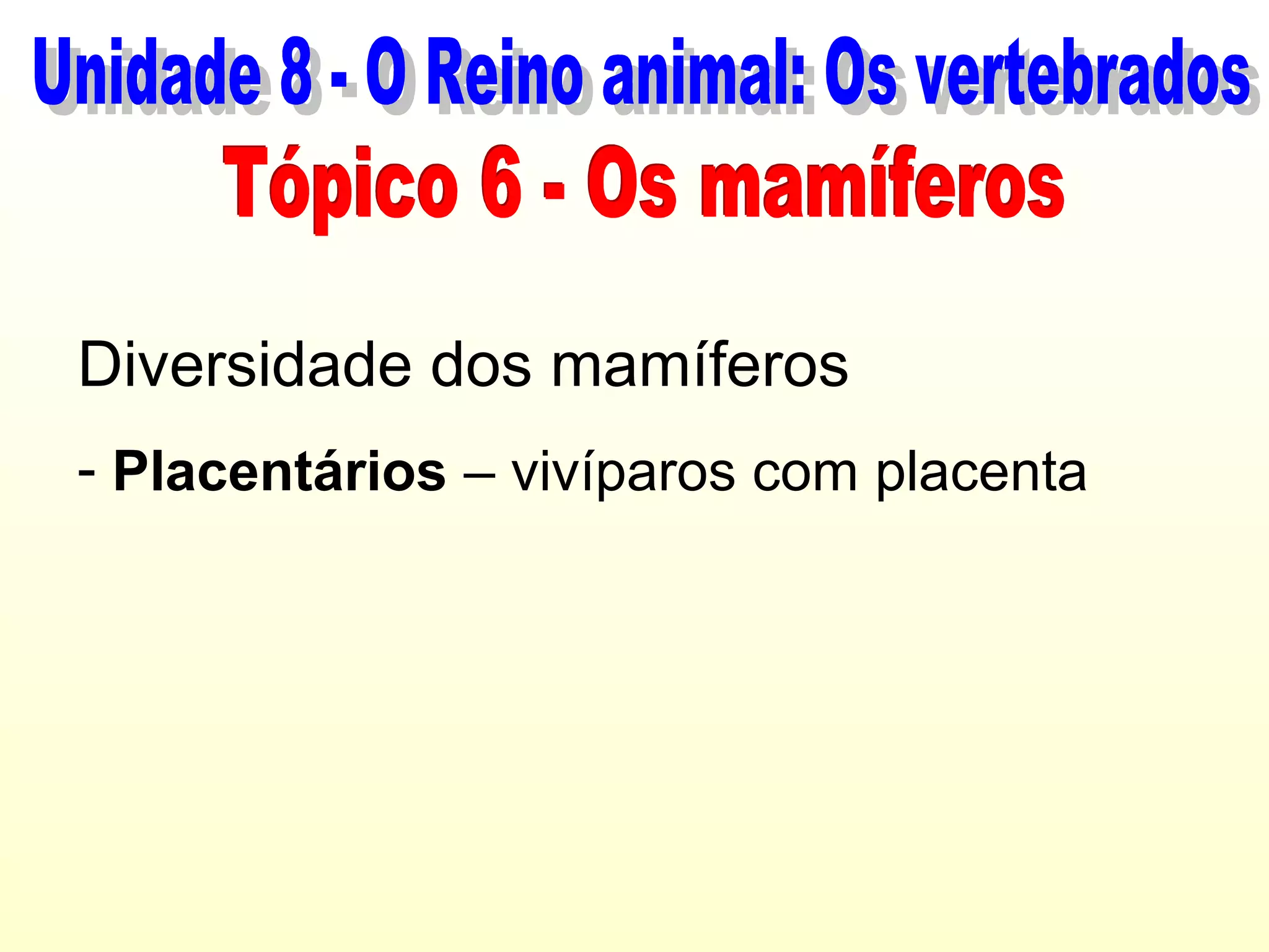 Diversidade dos mamíferos
- Placentários – vivíparos com placenta
 