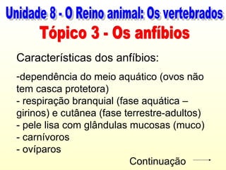 Características dos anfíbios:
-dependência do meio aquático (ovos não
tem casca protetora)
- respiração branquial (fase aquática –
girinos) e cutânea (fase terrestre-adultos)
- pele lisa com glândulas mucosas (muco)
- carnívoros
- ovíparos
                          Continuação
 