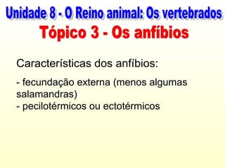 Características dos anfíbios:
- fecundação externa (menos algumas
salamandras)
- pecilotérmicos ou ectotérmicos
 