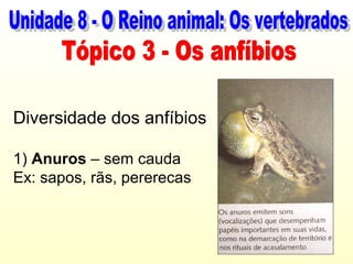 Diversidade dos anfíbios

1) Anuros – sem cauda
Ex: sapos, rãs, pererecas
 