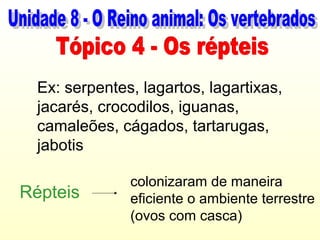 Ex: serpentes, lagartos, lagartixas,
  jacarés, crocodilos, iguanas,
  camaleões, cágados, tartarugas,
  jabotis

               colonizaram de maneira
Répteis        eficiente o ambiente terrestre
               (ovos com casca)
 
