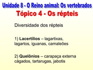 Diversidade dos répteis

1) Lacertílios – lagartixas,
lagartos, iguanas, camaleões


2) Quelônios – carapaça externa
cágados, tartarugas, jabotis
 