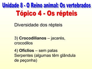 Diversidade dos répteis

3) Crocodilianos – jacarés,
crocodilos
4) Ofíclios – sem patas
Serpentes (algumas têm glândula
de peçonha)
 
