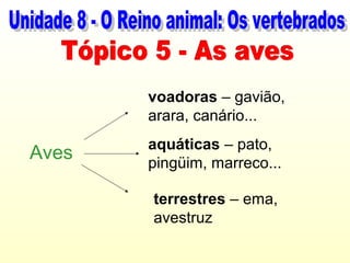 voadoras – gavião,
       arara, canário...
       aquáticas – pato,
Aves   pingüim, marreco...

       terrestres – ema,
       avestruz
 