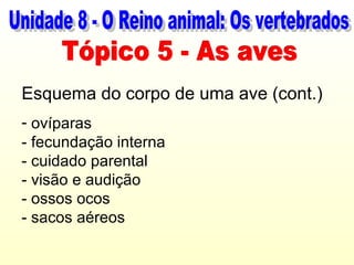 Esquema do corpo de uma ave (cont.)
- ovíparas
- fecundação interna
- cuidado parental
- visão e audição
- ossos ocos
- sacos aéreos
 
