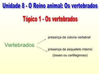 presença de coluna vertebral

Vertebrados
              presença de esqueleto interno
                 (ósseo ou cartilaginoso)
 