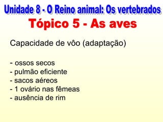 Capacidade de vôo (adaptação)

- ossos secos
- pulmão eficiente
- sacos aéreos
- 1 ovário nas fêmeas
- ausência de rim
 