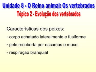 Características dos peixes:
- corpo achatado lateralmente e fusiforme
- pele recoberta por escamas e muco
- respiração branquial
 