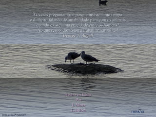 Às vezes preguntam-me porque invisto tanto tempo
e dinheiro falando de amabilidade para com os animais
    quando existe tanta crueldade entre os homens?
    Ao que respondo: Estou a trabalhar nas raízes!
                   George T. Angell




                   Hecho en Cádiz
                         Por
                      I. Maria
                      LARISA                            11/03/13
 