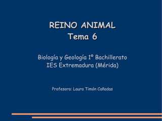 REINO ANIMAL
        Tema 6

Biología y Geología 1º Bachillerato
   IES Extremadura (Mérida)



     Profesora: Laura Timón Cañadas
 