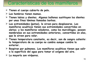 16
 Tienen el cuerpo cubierto de pelo.
 Las hembras tienen mamas.
 Tienen labios y dientes. Algunas ballenas sustituyen los dientes
por unas finas láminas llamadas barbas.
 Las extremidades (patas), le sirven para desplazarse. Los
mamíferos acuáticos tienen sus extremidades convertidas en
aletas; y los mamíferos voladores, como los murciélagos, poseen
membranas en sus extremidades anteriores, convertidas en alas,
que le sirven para volar.
 Tienen temperatura constante, es decir, son de sangre caliente:
la temperatura de su cuerpo no cambia aunque cambie la
exterior. 
 Respiran por pulmones. Los mamíferos acuáticos tienen que salir
a la superficie del agua para tomar el oxígeno del aire.
 La mayoría son vivíparos.
Características de los mamíferosCaracterísticas de los mamíferos
 