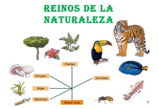 REINOS DE LA
NATURALEZA
3
 