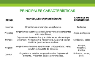 PRINCIPALES CARACTERÍSTICAS
REINO
PRINCIPALES CARACTERÍSTICAS
EJEMPLOS DE
ORGANISMOS
Móneras Organismos procariotas unicelulares. Bacterias
Protistas
Organismos eucariotas unicelulares y sus descendientes
más inmediatos.
Algas, protozoos
Hongos
Organismos heterótrofos que obtienen su alimento por
absorción. No realizan la fotosíntesis. La pared celular
contiene generalmente quitina.
Levaduras, setas
Vegetal
Organismos inmóviles que realizan la fotosíntesis. Pared
celular compuesta de celulosa.
Musgos,
helechos,
árboles
Animal
Organismos móviles sin pared celular. Ingieren el
alimento. Presentan tejidos diferenciados.
Moluscos, peces,
aves
 