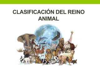 CLASIFICACIÓN DEL REINO
ANIMAL

 