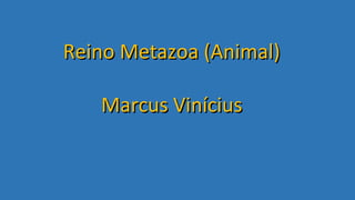 Reino Metazoa (Animal)Reino Metazoa (Animal)
Marcus ViníciusMarcus Vinícius
 