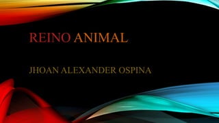 REINO ANIMAL
JHOAN ALEXANDER OSPINA
 