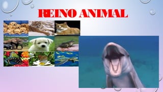 REINO ANIMAL
 