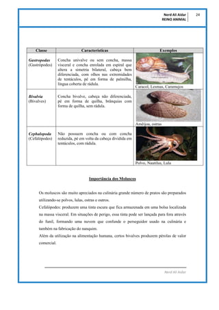 Nerd Ali Aidar
REINO ANIMAL
24
Nerd Ali Aidar
Classe Características Exemplos
Gastropodas
(Gastrópodes)
Concha univalve ou...