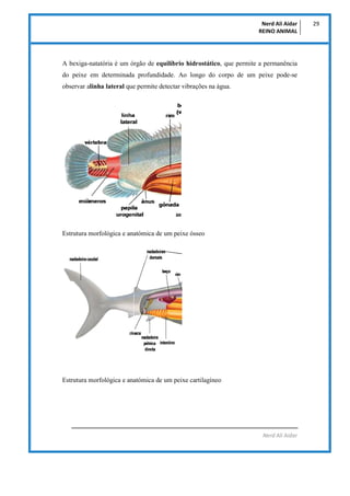 A bexiga-natatória é um órgão de
do peixe em determinada profundidade.
observar alinha lateral que permite detectar vibraç...