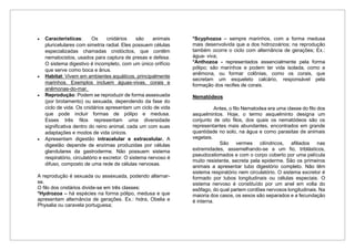 • Características: Os cnidários são animais
pluricelulares com simetria radial. Eles possuem células
especializadas chamadas cnidócitos, que contêm
nematocistos, usados para captura de presas e defesa.
O sistema digestivo é incompleto, com um único orifício
que serve como boca e ânus.
• Habitat: Vivem em ambientes aquáticos, principalmente
marinhos. Exemplos incluem águas-vivas, corais e
anêmonas-do-mar.
• Reprodução: Podem se reproduzir de forma assexuada
(por brotamento) ou sexuada, dependendo da fase do
ciclo de vida. Os cnidários apresentam um ciclo de vida
que pode incluir formas de pólipo e medusa.
Esses três filos representam uma diversidade
significativa dentro do reino animal, cada um com suas
adaptações e modos de vida únicos.
• Apresentam digestão intracelular e extracelular. A
digestão depende de enzimas produzidas por células
glandulares da gastroderme. Não possuem sistema
respiratório, circulatório e excretor. O sistema nervoso é
difuso, composto de uma rede de células nervosas.
A reprodução é sexuada ou assexuada, podendo alternar-
se.
O filo dos cnidários divide-se em três classes:
*Hydrozoa – há espécies na forma pólipo, medusa e que
apresentam alternância de gerações. Ex.: hidra, Obelia e
Physalia ou caravela portuguesa;
*Scyphozoa – sempre marinhos, com a forma medusa
mais desenvolvida que a dos hidrozoários; na reprodução
também ocorre o ciclo com alternância de gerações; Ex.:
água- viva;
*Anthozoa - representados essencialmente pela forma
pólipo; são marinhos e podem ter vida isolada, como a
anêmona, ou formar colônias, como os corais, que
secretam um esqueleto calcário, responsável pela
formação dos recifes de corais.
Nematódeos
Antes, o filo Nematodea era uma classe do filo dos
asquelmintos. Hoje, o termo asquelminto designa um
conjunto de oito filos, dos quais os nematódeos são os
representantes mais abundantes, encontrados em grande
quantidade no solo, na água e como parasitas de animais
vegetais.
São vermes cilíndricos, afiliados nas
extremidades, assemelhando-se a um fio, triblásticos,
pseudocelomados e com o corpo coberto por uma película
muito resistente, secreta pela epiderme. São os primeiros
animais a apresentar tubo digestório completo. Não têm
sistema respiratório nem circulatório. O sistema excretor é
formado por tubos longitudinais ou células especiais. O
sistema nervoso é constituído por um anel em volta do
esôfago, do qual partem cordões nervosos longitudinais. Na
maioria dos casos, os sexos são separados e a fecundação
é interna.
 
