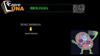 INVERTEBRADOS
BIOLOGIA
REINO ANIMALIA
 