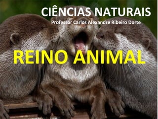 CIÊNCIAS NATURAIS
Professor Carlos Alexandre Ribeiro Dorte
REINO ANIMAL
 