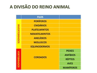 A DIVISÃO DO REINO ANIMAL
