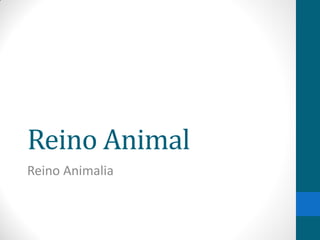 Reino Animal
Reino Animalia
 