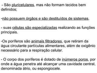 - São  pluricelulares , mas não formam tecidos bem definidos; não possuem órgãos e são destituídos de sistemas ,  - suas  células são especializadas  realizando as funções principais. Os poríferos são  animais filtradores , que retiram da água circulante partículas alimentares, além de oxigênio necessário para a respiração celular.  - O corpo dos poríferos é dotado de  inúmeros poros , por onde a água penetra até alcançar uma cavidade central, denominada átrio, ou espongiocele.  