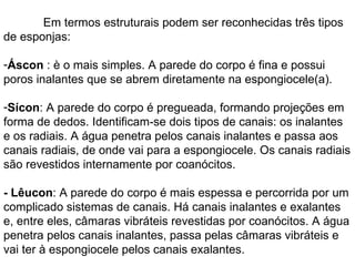 Em termos estruturais podem ser reconhecidas três tipos  de esponjas: Áscon  : è o mais simples. A parede do corpo é fina e possui poros inalantes que se abrem diretamente na espongiocele(a).  Sícon : A parede do corpo é pregueada, formando projeções em forma de dedos. Identificam-se dois tipos de canais: os inalantes e os radiais. A água penetra pelos canais inalantes e passa aos canais radiais, de onde vai para a espongiocele. Os canais radiais são revestidos internamente por coanócitos. - Lêucon : A parede do corpo é mais espessa e percorrida por um complicado sistemas de canais. Há canais inalantes e exalantes e, entre eles, câmaras vibráteis revestidas por coanócitos. A água penetra pelos canais inalantes, passa pelas câmaras vibráteis e vai ter à espongiocele pelos canais exalantes.  