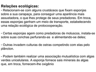 Relações ecológicas: Relacionam-se com alguns crustáceos que fixam esponjas sobre a sua carapaça, para conseguir uma aparência mais assustadora, o que lhes protege de seus predadores. Em troca, essas esponjas ganham um meio de transporte, estabelecendo uma relação ecológica de protocooperação. Certas esponjas agem como predadoras de moluscos, instala-se sobre suas conchas perfurando-as  e alimentando-se deles; Outras invadem culturas de ostras competindo com elas pelo plâncton. - Podem também realizar uma associação mutualística com algas verdes unicelulares. A esponja fornece sais minerais às algas que, em troca, fornecem-lhe oxigênio 