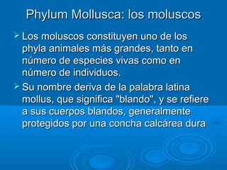 Phylum Mollusca: los moluscos
 Los moluscos constituyen uno de los
  phyla animales más grandes, tanto en
  número de especies vivas como en
  número de individuos.
 Su nombre deriva de la palabra latina
  mollus, que significa "blando", y se refiere
  a sus cuerpos blandos, generalmente
  protegidos por una concha calcárea dura
 