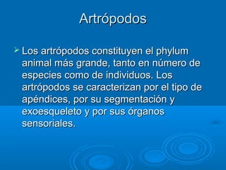 Artrópodos

 Los artrópodos constituyen el phylum
 animal más grande, tanto en número de
 especies como de individuos. Los
 artrópodos se caracterizan por el tipo de
 apéndices, por su segmentación y
 exoesqueleto y por sus órganos
 sensoriales.
 