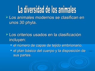  Los animales modernos se clasifican en
 unos 30 phyla.

 Los criterios usados en la clasificación
 incluyen:
     el número de capas de tejido embrionario.
     el plan básico del cuerpo y la disposición de
      sus partes.
 