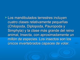  Los mandibulados terrestres incluyen
 cuatro clases relativamente pequeñas
 (Chilopoda, Diplopoda, Pauropoda y
 Simphyla) y la clase más grande del reino
 animal, Insecta, con aproximadamente un
 millón de especies. Los insectos son los
 únicos invertebrados capaces de volar.
 