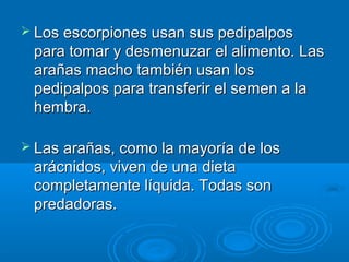  Los escorpiones usan sus pedipalpos
 para tomar y desmenuzar el alimento. Las
 arañas macho también usan los
 pedipalpos para transferir el semen a la
 hembra.

 Las arañas, como la mayoría de los
 arácnidos, viven de una dieta
 completamente líquida. Todas son
 predadoras.
 