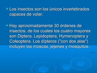  Los insectos son los únicos invertebrados
 capaces de volar.

 Hay aproximadamente 30 órdenes de
 insectos, de los cuales los cuatro mayores
 son Diptera, Lepidoptera, Hymenoptera y
 Coleoptera. Los dípteros ("con dos alas")
 incluyen las moscas, jejenes y mosquitos.
 