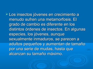  Los insectos jóvenes en crecimiento a
 menudo sufren una metamorfosis. El
 grado de cambio es diferente en los
 distintos órdenes de insectos. En algunas
 especies, los jóvenes, aunque
 sexualmente inmaduros, se parecen a
 adultos pequeños y aumentan de tamaño
 por una serie de mudas, hasta que
 alcanzan su tamaño máximo.
 